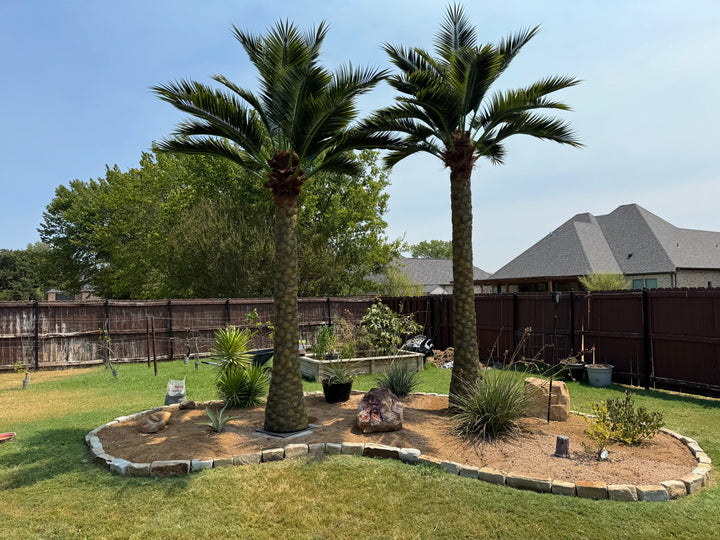 Date Palm Collection
