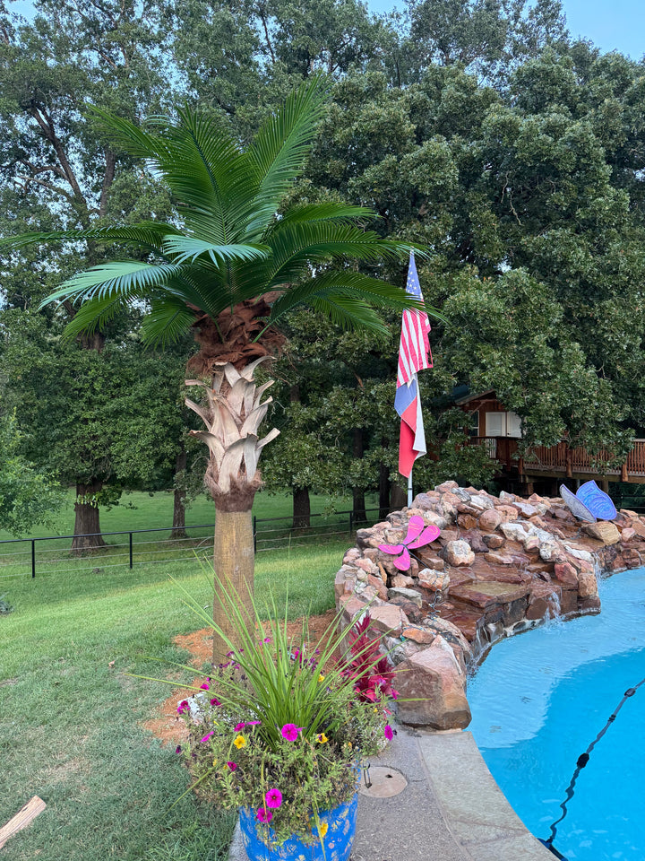 Texas Sabal Palm Collection