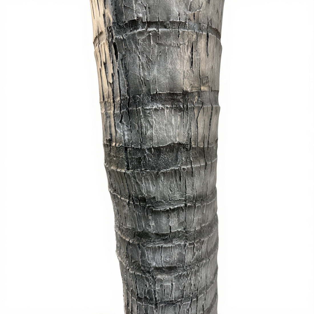 17ft Caribbean Palm Tree