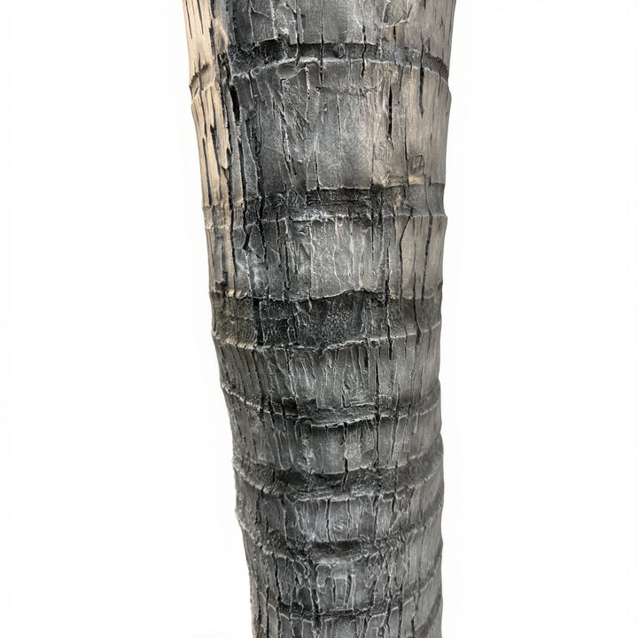 14ft Caribbean Palm Tree
