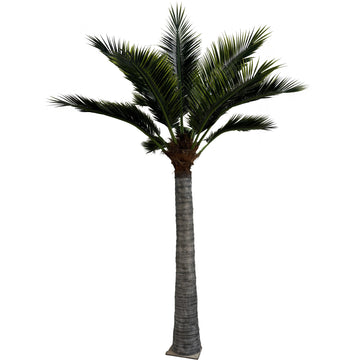 16ft Caribbean Style Palm