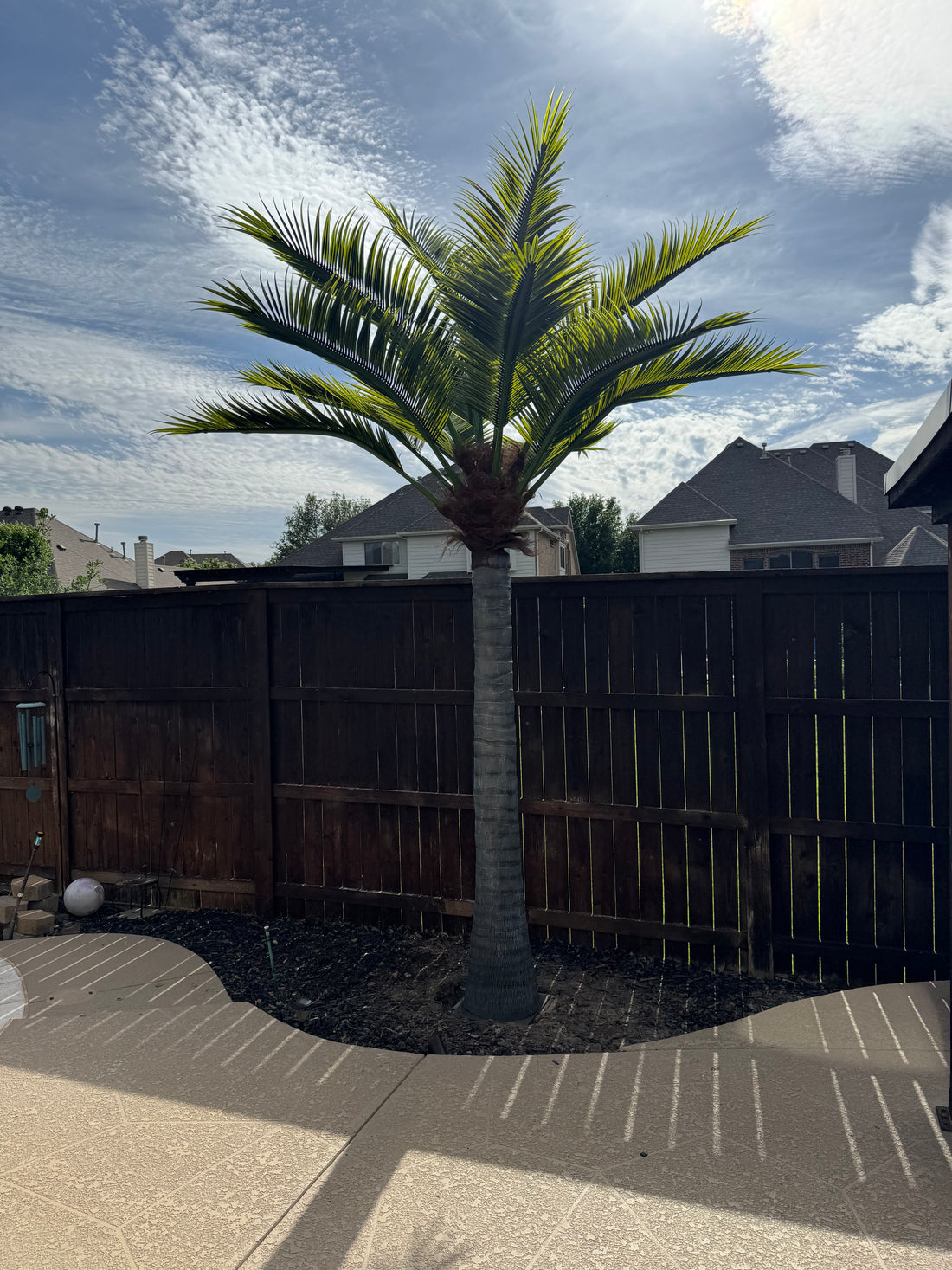 17ft Caribbean Palm Tree