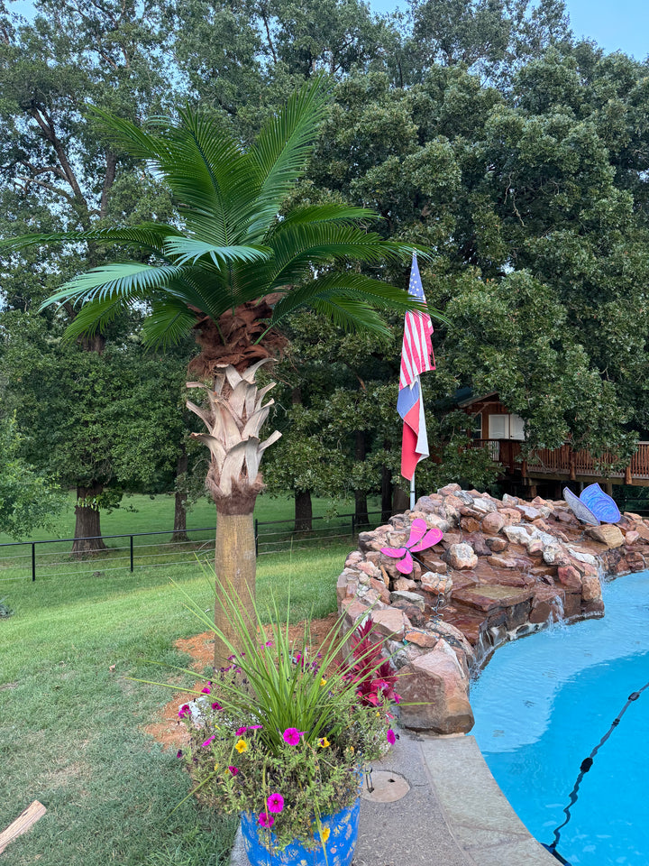 12ft Sabal Palm Tree
