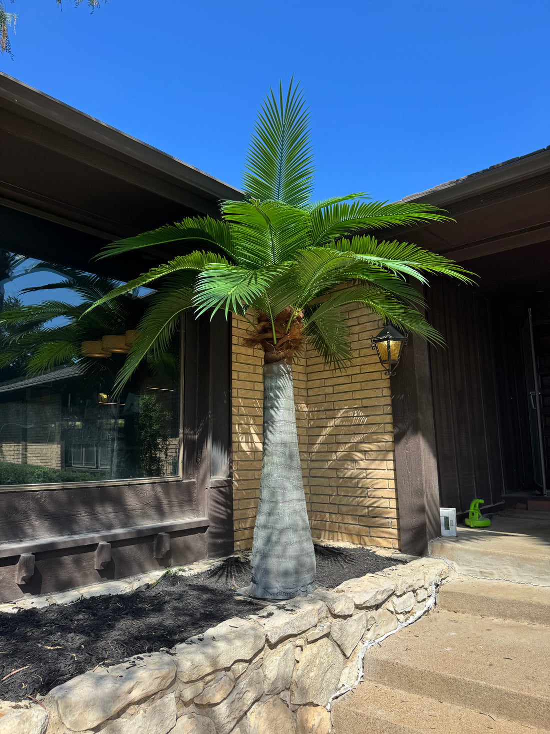 10ft Caribbean Palm Tree