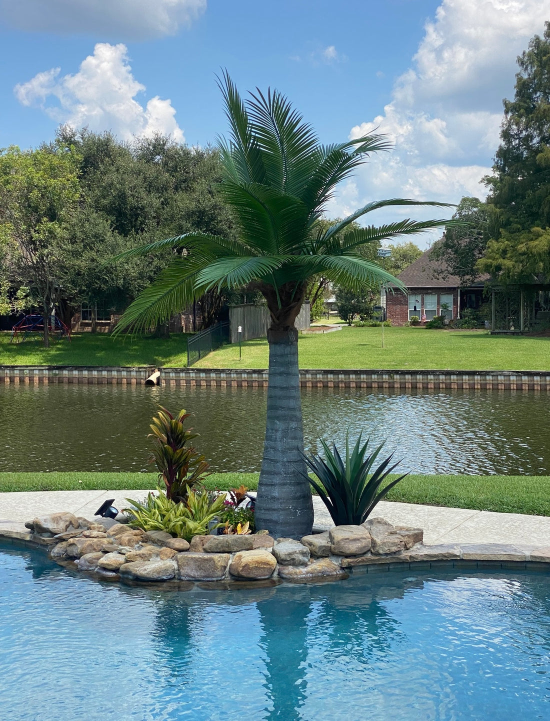 10ft Caribbean Palm Tree