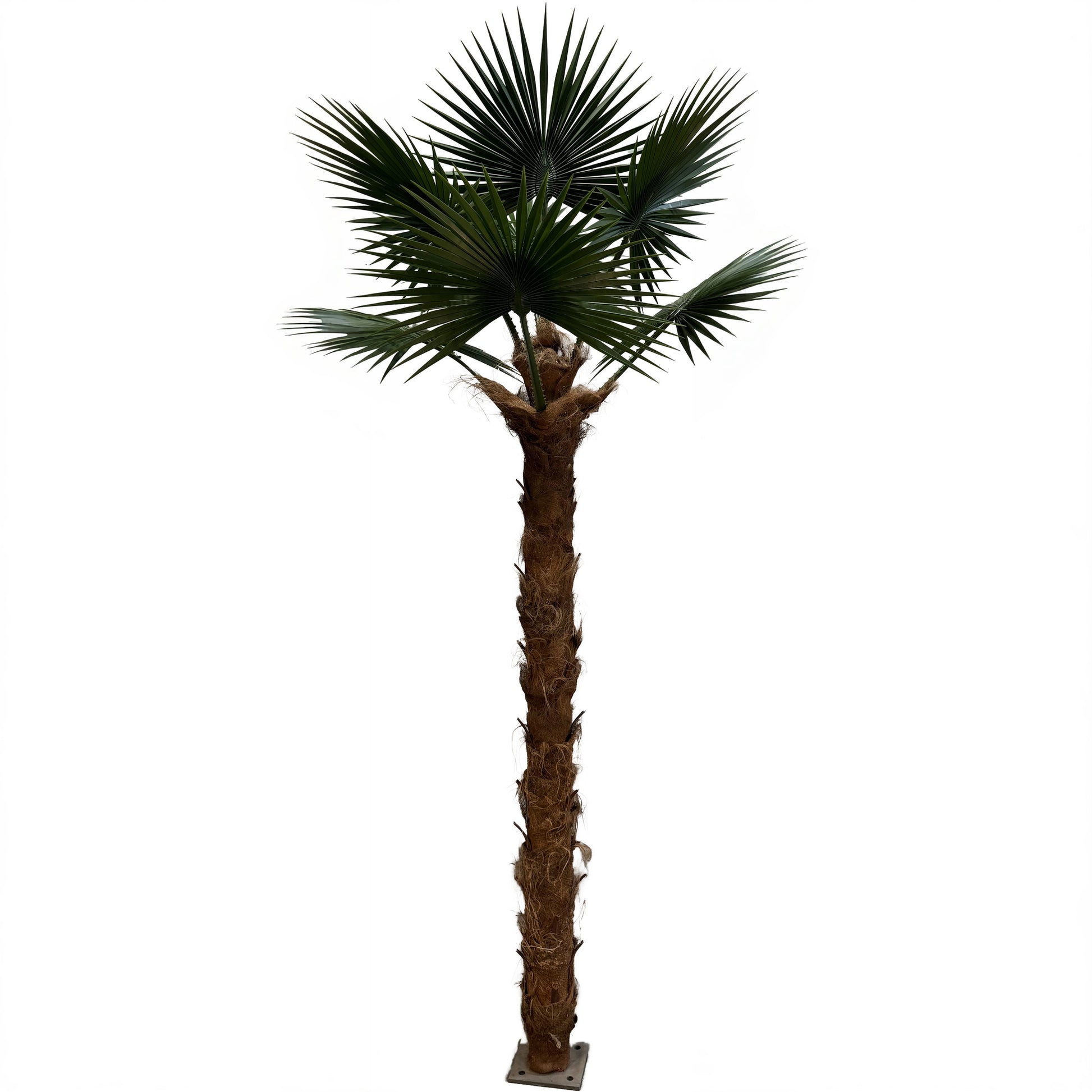 artificial plants palm desert 13ft Artificial Palm Tree Outdoors